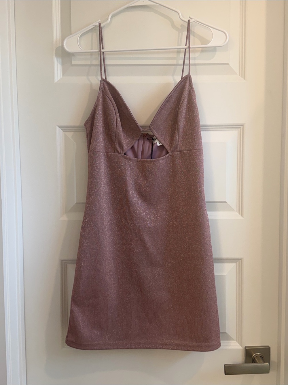 NWT superdown Rose Metallic Mini Dress